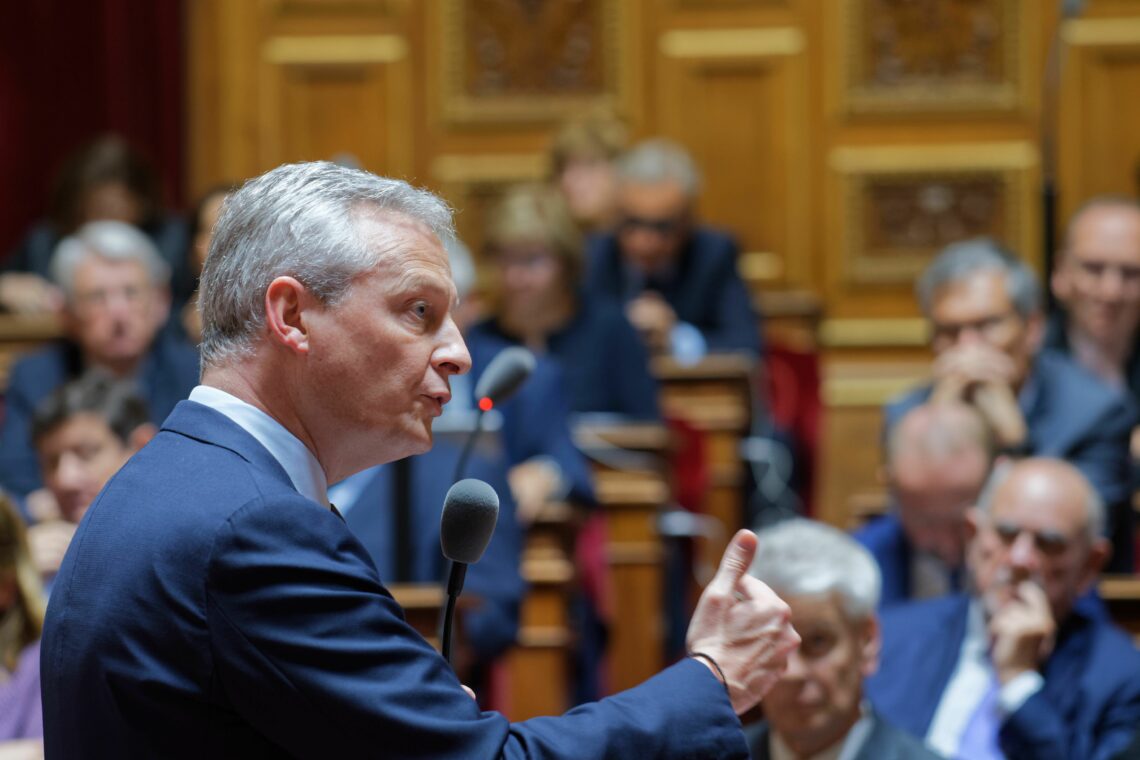 French Minister of the Economy, Bruno Le Maire, speaks at the French Senate, on June 6, 2019