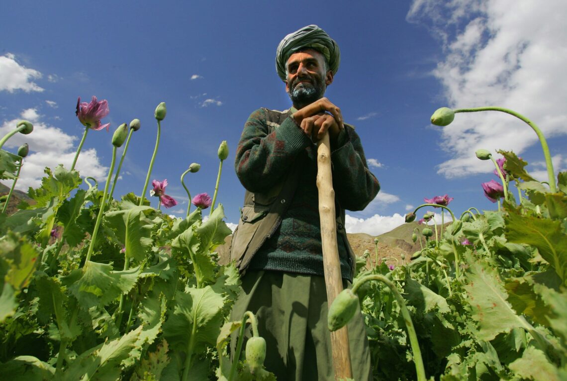 Afghan farmer in a poppy field
