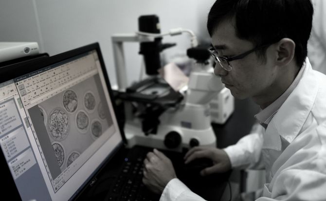 Chinese biologist Junjiu Huang conducts experiments at Sun Yat-Sen University in Guangzhou, China