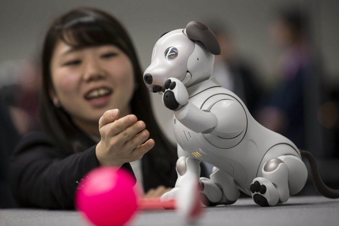 Aibo the robot dog