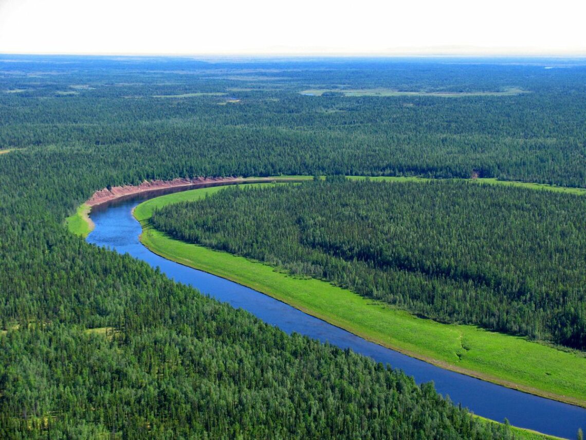 Siberian timber is a prime resource for China’s fast-growing economy