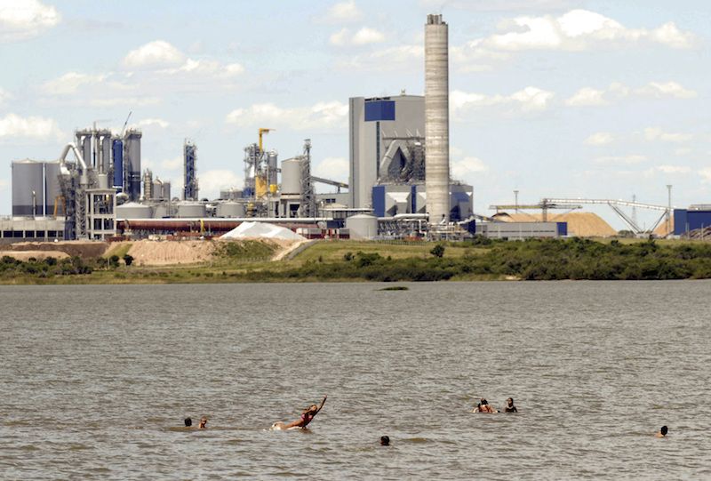 A January 2011 picture showing swimmers in the river next to the controversial pulp plant