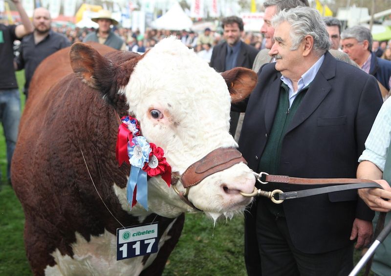 A 2010 picture showing former President Jose Mujica at Montevideo’s Expo Prado fair, the biggest rancher fair in Uruguay
