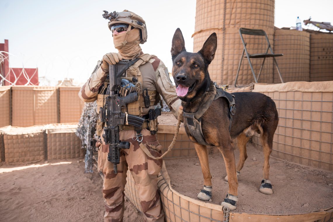 Soldier and dog (France military strategy)