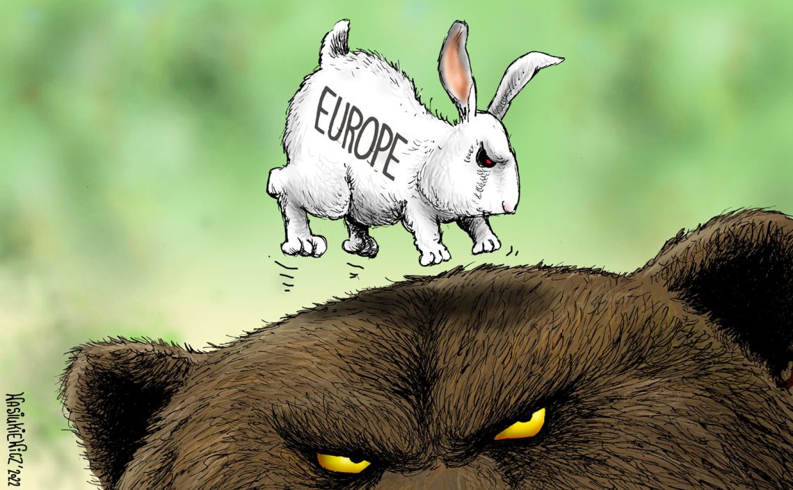 Cartoon (Ukraine solutions)