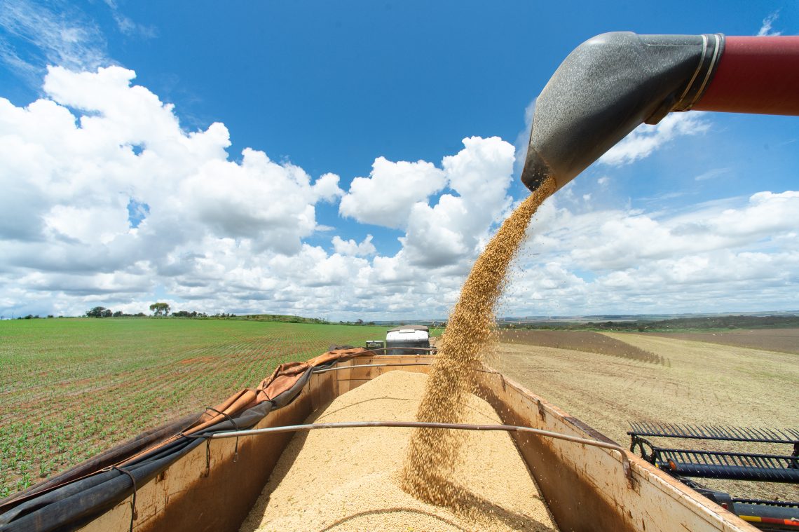 Grain and fertilizer (prices)