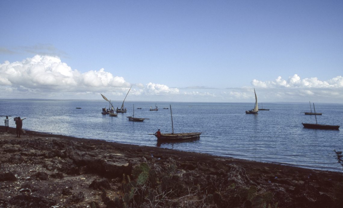 Fishing boats in Cabo Delgado, Mozambique