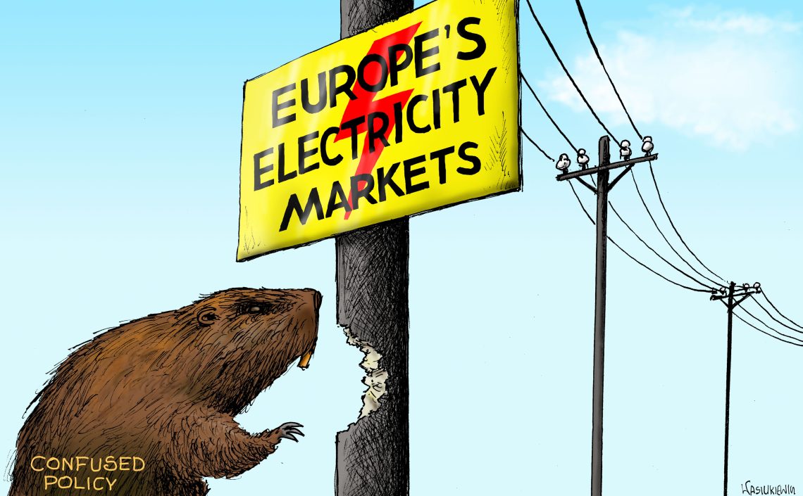 A cartoon of a beaver chewing on a power line pole