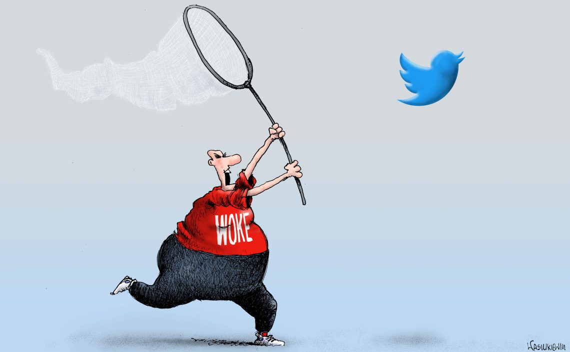 Cartoon: A man chasing the Twitter bird Musk free speech